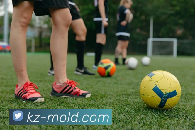 开云平台生态图